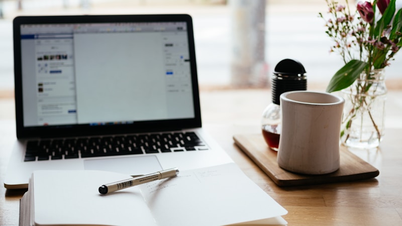 Online learning setup for The Complete Node.js Developer Course review on Udemy